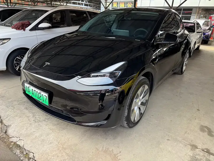 Tesla Model Y Model Y 2023 rear-wheel drive version 2023 — фото 1, купить с доставкой в Москву