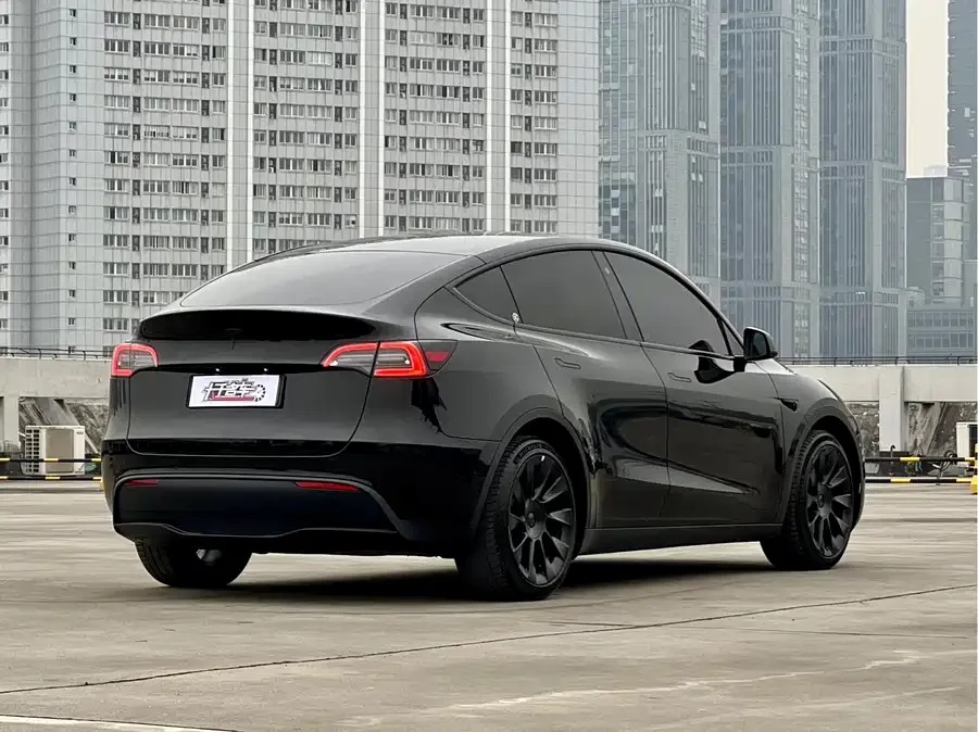 Tesla Model Y Model Y 2021 Standard Range Rear-wheel Drive Version 2022 — миниатюра 2