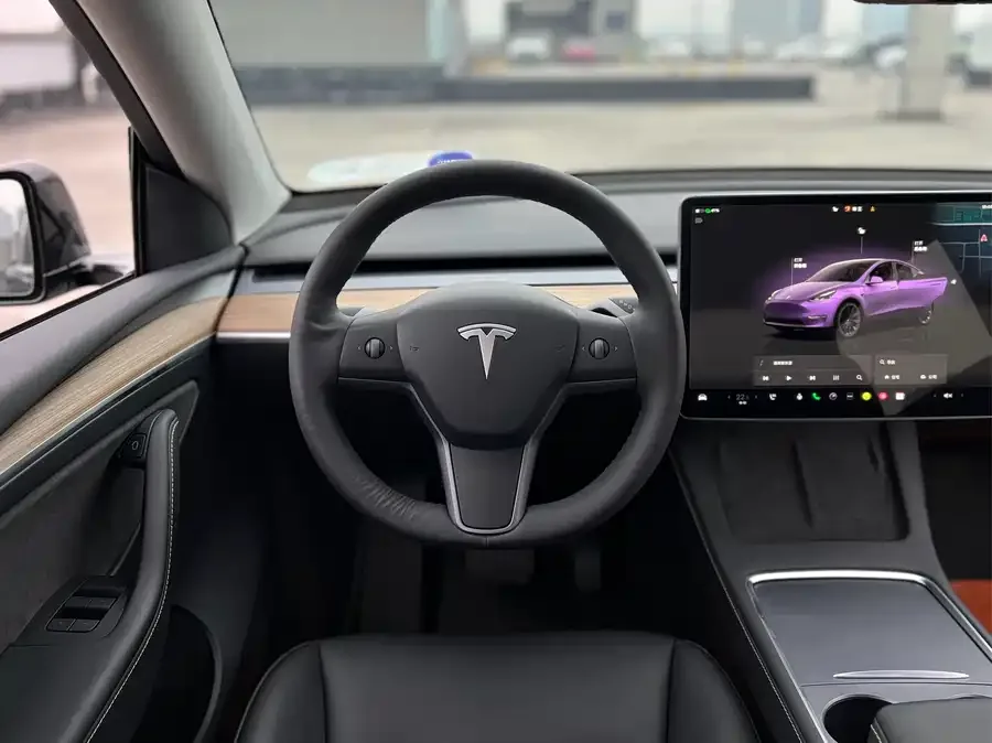 Tesla Model Y Model Y 2021 Standard Range Rear-wheel Drive Version 2022 — миниатюра 3