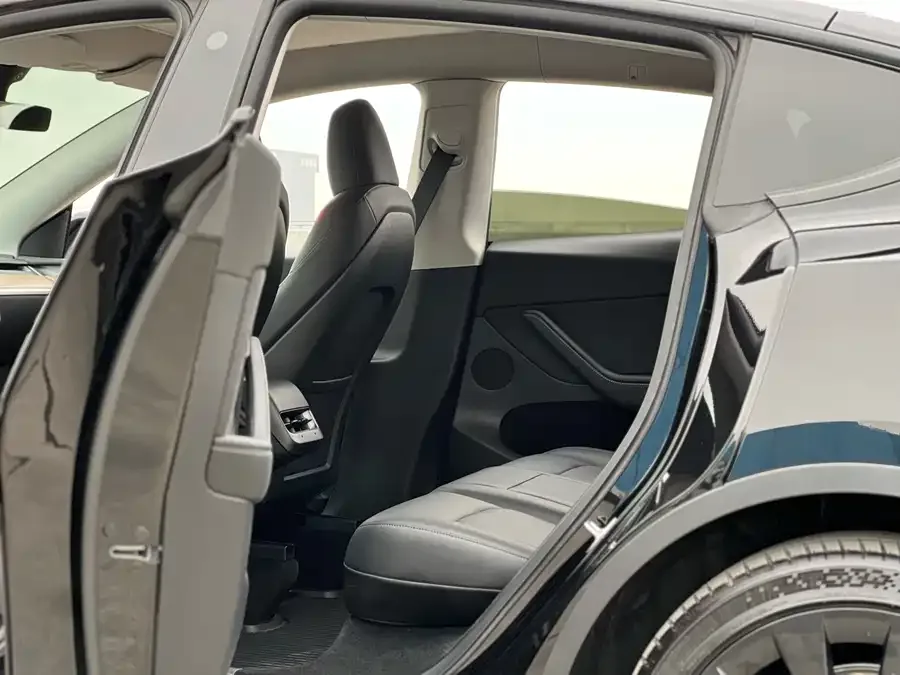Tesla Model Y Model Y 2021 Standard Range Rear-wheel Drive Version 2022 — миниатюра 5