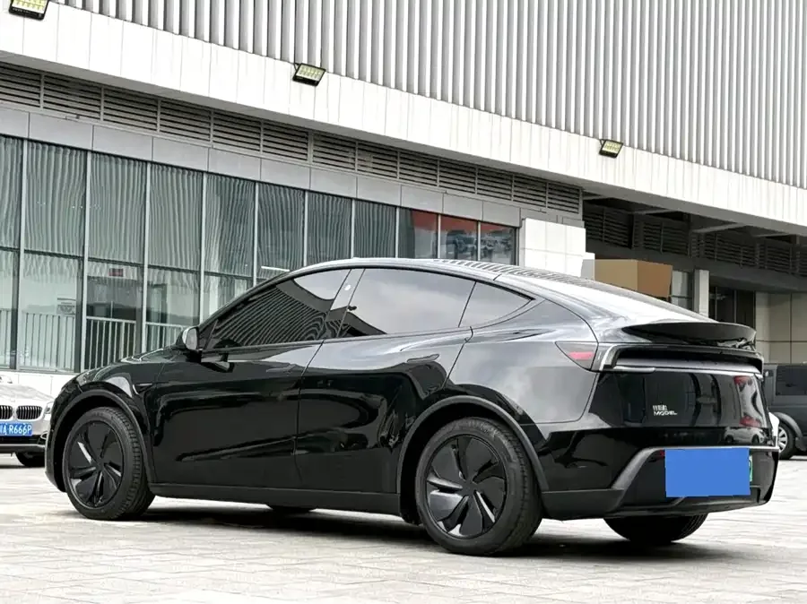 Tesla Model Y Model Y 2025 long-range all-wheel drive version 2025 — миниатюра 3
