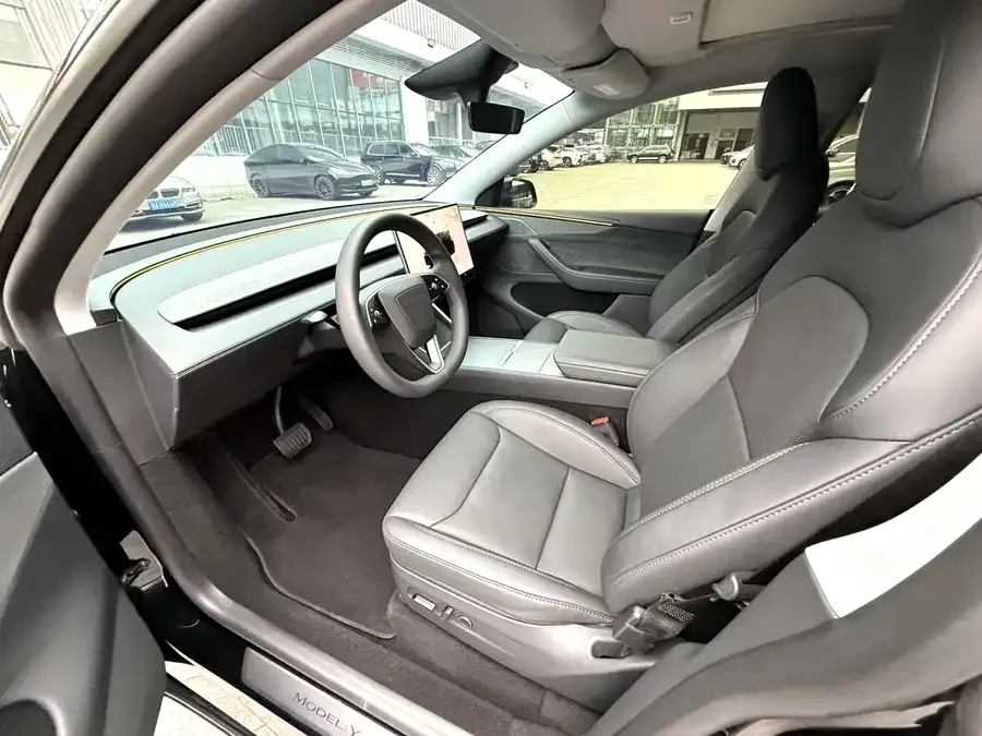 Tesla Model Y Model Y 2025 long-range all-wheel drive version 2025 — миниатюра 4