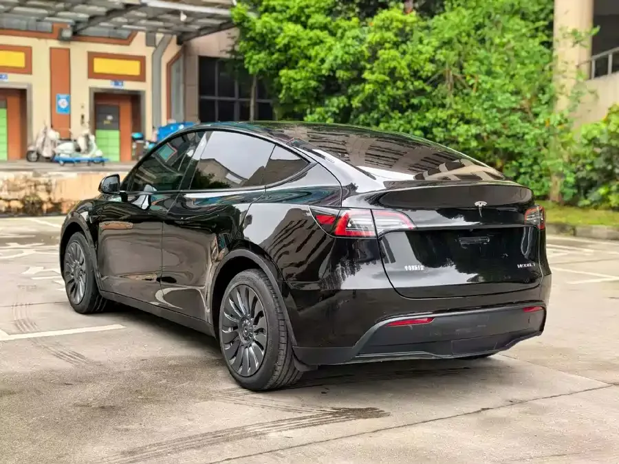 Tesla Model Y Model Y 2023 long-range all-wheel drive version 2023 — миниатюра 3