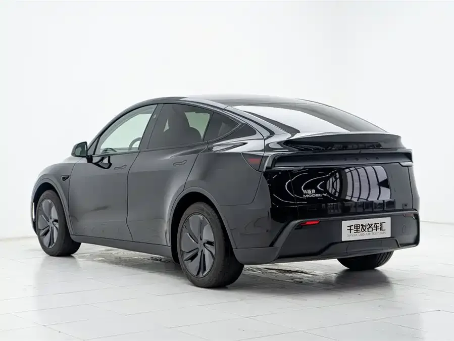 Tesla Model Y Model Y 2025 rear-wheel drive version 2026 — миниатюра 2