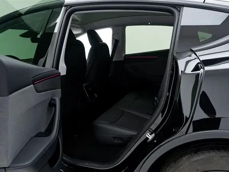 Tesla Model Y Model Y 2025 rear-wheel drive version 2026 — миниатюра 5