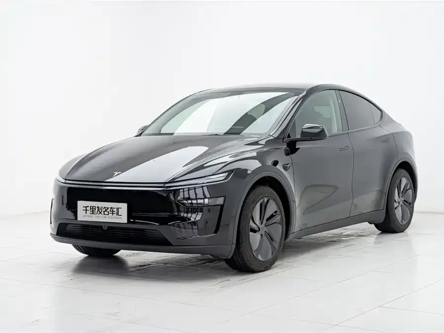 Tesla Model Y Model Y 2025 rear-wheel drive version 2026 — фото 1, купить с доставкой в Москву