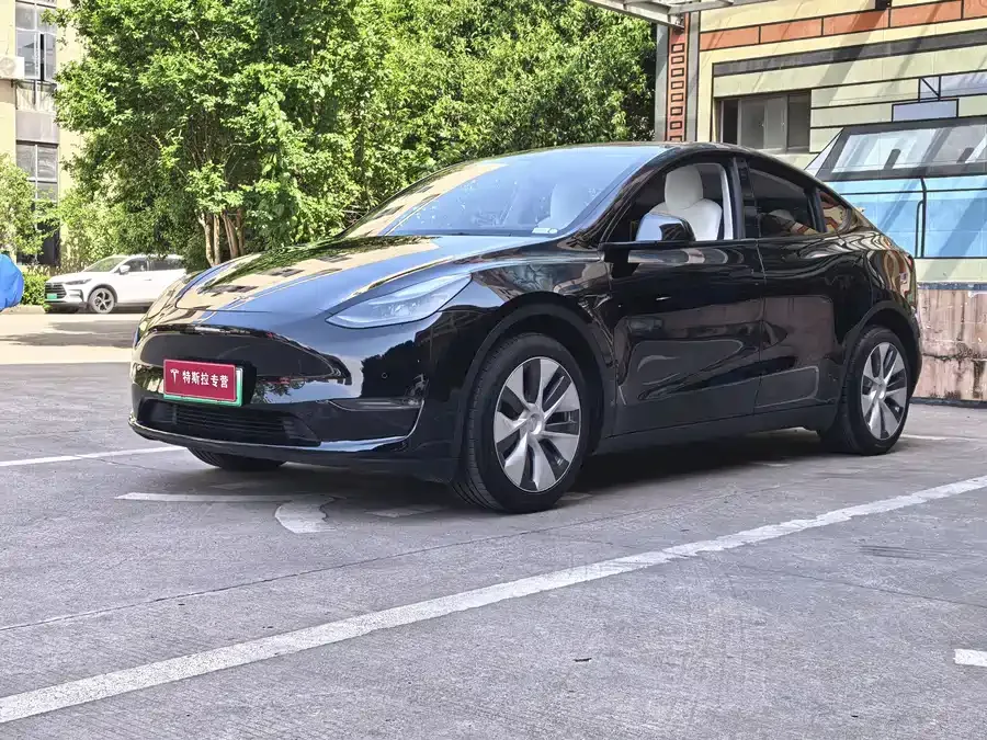 Tesla Model Y Model Y 2022 Long Range All-Wheel Drive Version 2022 — фото 1, купить с доставкой в Москву