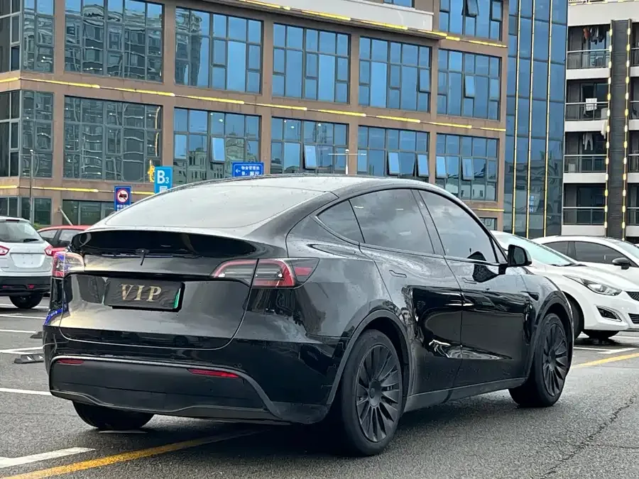 Tesla Model Y Model Y 2023 rear-wheel drive version 2023 — миниатюра 4
