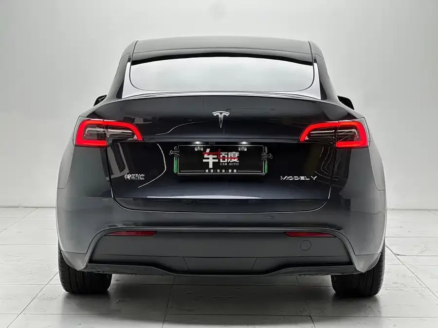 Tesla Model Y Model Y 2024 rear-wheel drive version 2024 — миниатюра 2