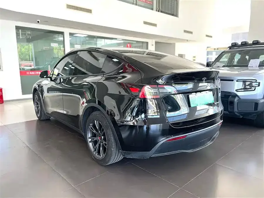 Tesla Model Y Model Y 2024 rear-wheel drive version 2024 — миниатюра 2