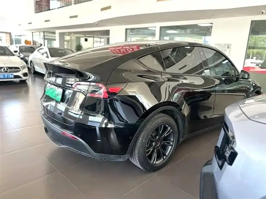 Tesla Model Y Model Y 2024 rear-wheel drive version 2024 — миниатюра 4