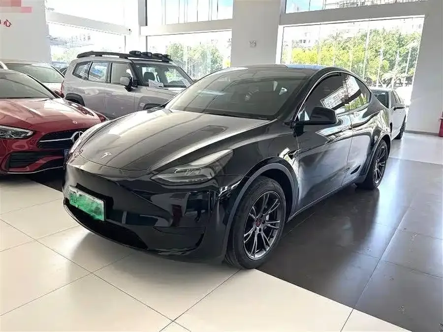Tesla Model Y Model Y 2024 rear-wheel drive version 2024 — миниатюра 5