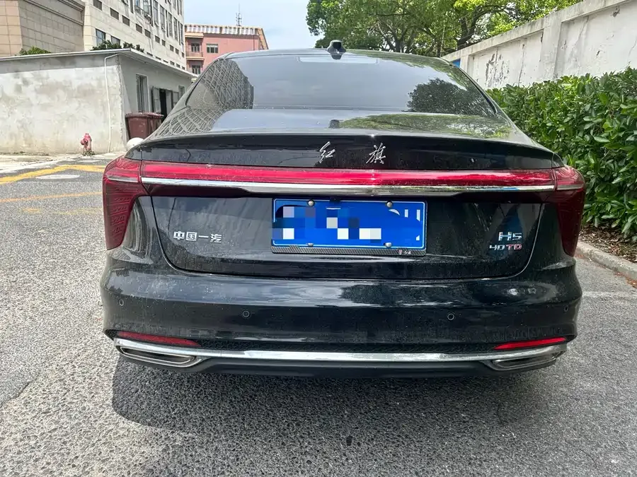 Hongqi H5 Hongqi H5 2025 2.0T Automatic Flagship Edition 2025 — миниатюра 5