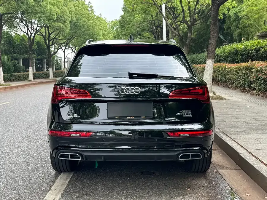 Audi Q5L 2025 40 TFSI Luxury Dynamic Edition 2025 — миниатюра 5