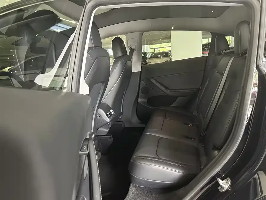 Tesla Model Y Model Y 2021 Performance All-Wheel Drive 2022 — миниатюра 2