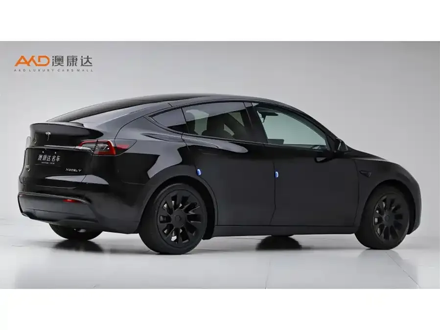 Tesla Model Y Model Y 2022 facelift rear-wheel drive version 2022 — миниатюра 3