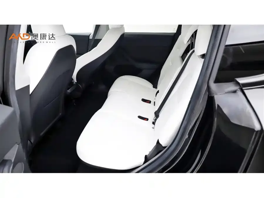 Tesla Model Y Model Y 2022 facelift rear-wheel drive version 2022 — миниатюра 4