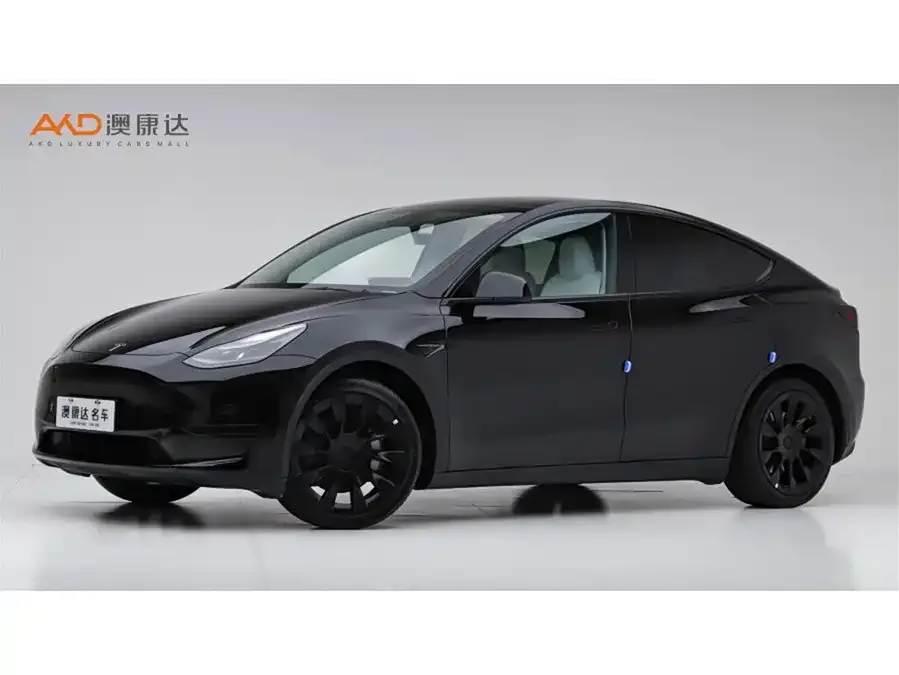 Tesla Model Y Model Y 2022 facelift rear-wheel drive version 2022 — фото 1, купить с доставкой в Москву