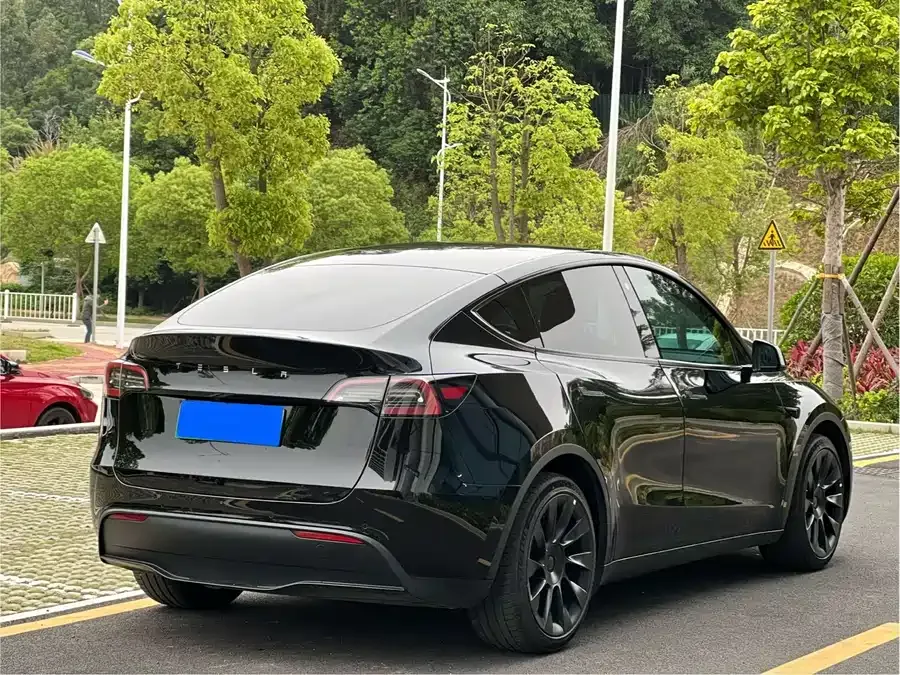 Tesla Model Y Model Y 2022 rear-wheel drive version 2022 — миниатюра 3