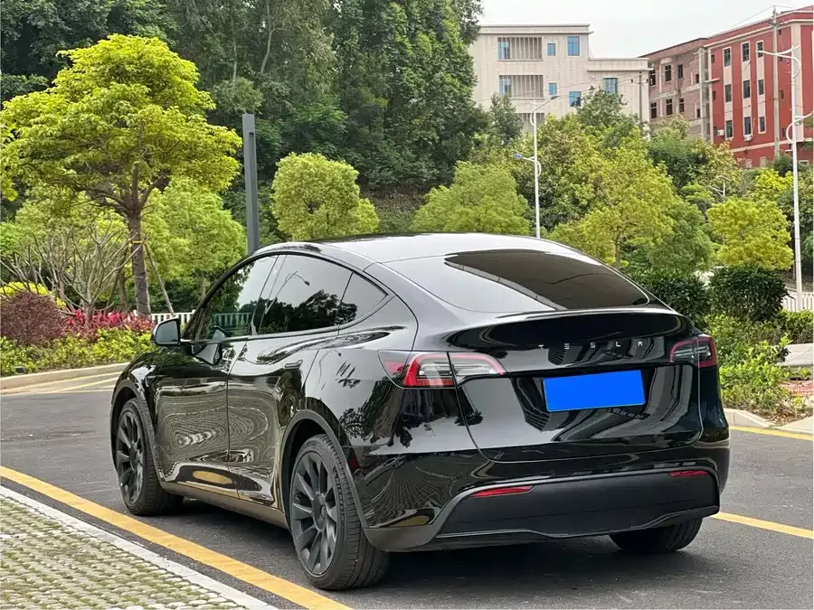 Tesla Model Y Model Y 2022 rear-wheel drive version 2022 — миниатюра 5