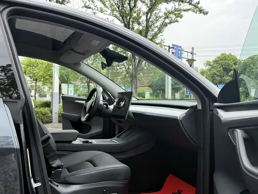 Tesla Model Y Model Y 2024 long-range all-wheel drive version 2024 — миниатюра 2