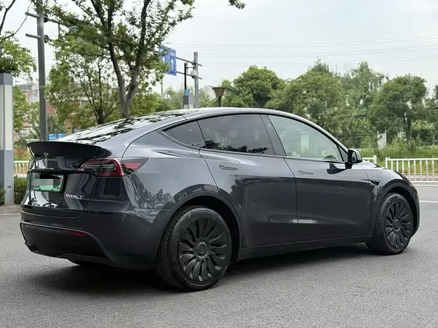 Tesla Model Y Model Y 2024 long-range all-wheel drive version 2024 — миниатюра 3
