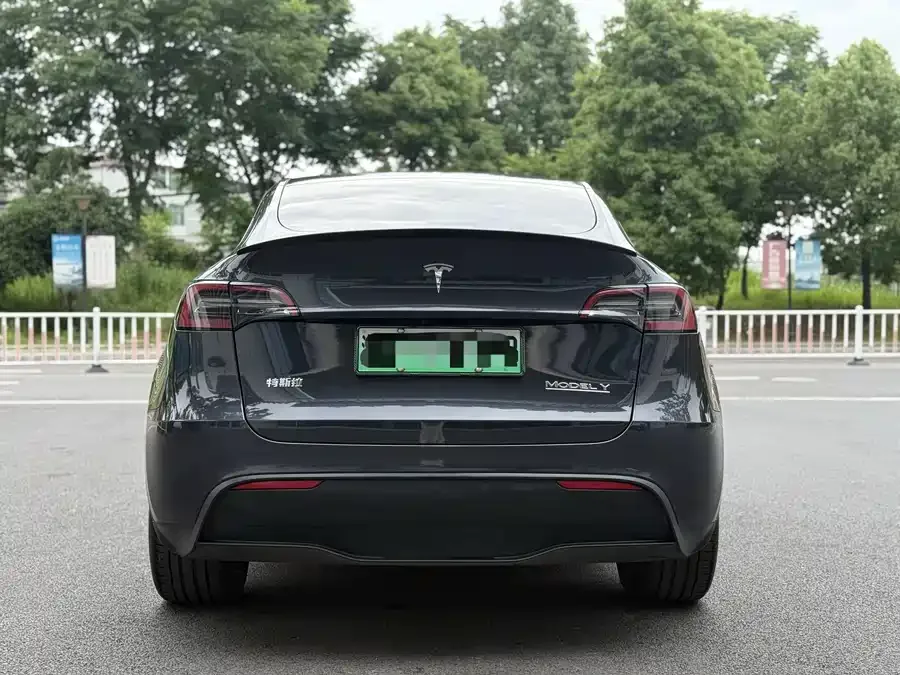 Tesla Model Y Model Y 2024 long-range all-wheel drive version 2024 — миниатюра 5