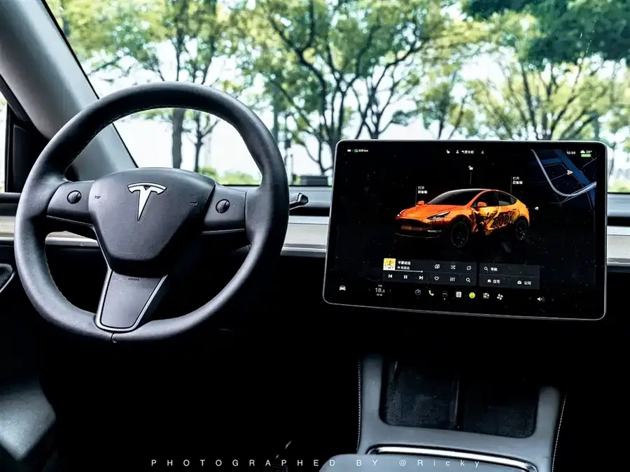 Tesla Model Y Model Y 2022 rear-wheel drive version 2022 — миниатюра 2