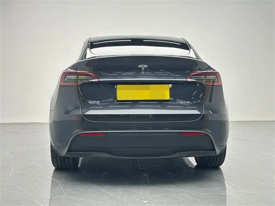 Tesla Model Y Model Y 2024 rear-wheel drive version 2024 — миниатюра 2