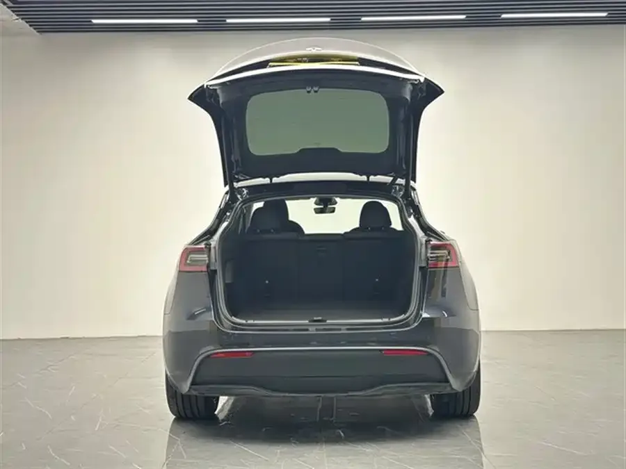 Tesla Model Y Model Y 2024 rear-wheel drive version 2024 — миниатюра 3