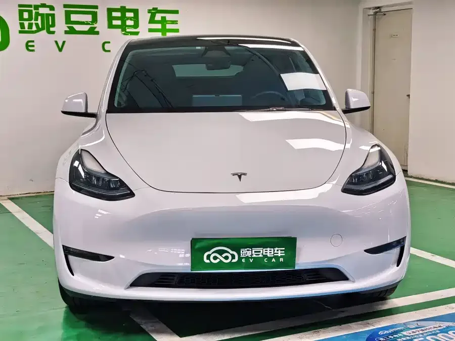 Tesla Model Y Model Y 2024 long-range all-wheel drive version 2024 — миниатюра 2
