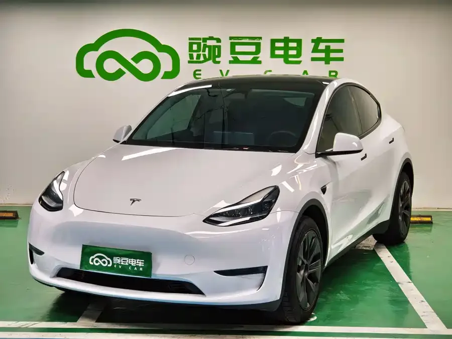 Tesla Model Y Model Y 2024 long-range all-wheel drive version 2024 — фото 1, купить с доставкой в Москву