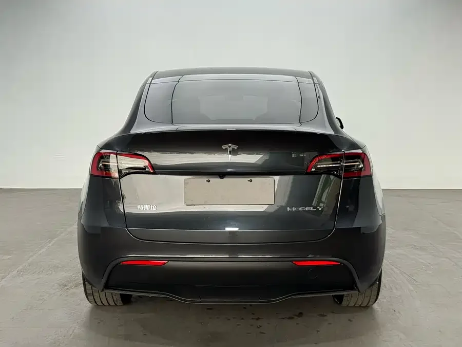 Tesla Model Y Model Y 2024 long-range all-wheel drive version 2024 — миниатюра 5
