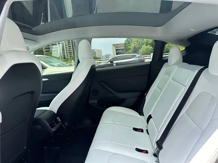Tesla Model Y Model Y 2022 rear-wheel drive version 2022 — миниатюра 2