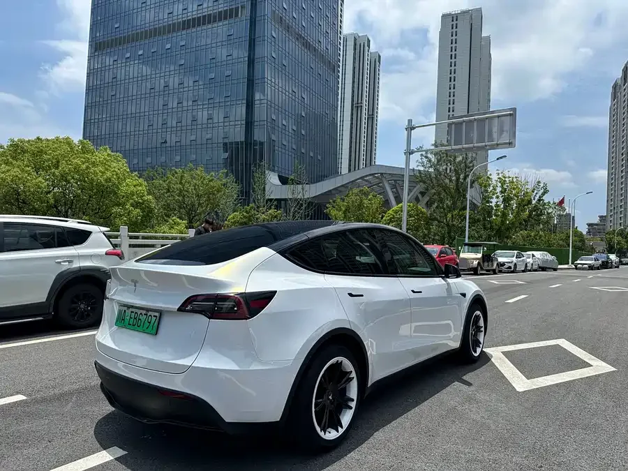 Tesla Model Y Model Y 2022 rear-wheel drive version 2022 — миниатюра 3