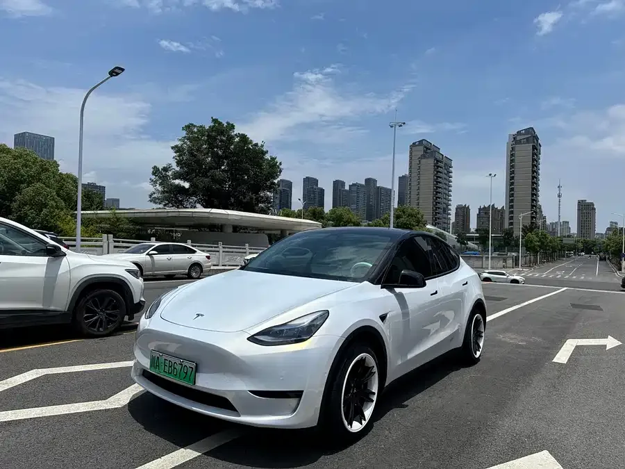 Tesla Model Y Model Y 2022 rear-wheel drive version 2022 — фото 1, купить с доставкой в Москву