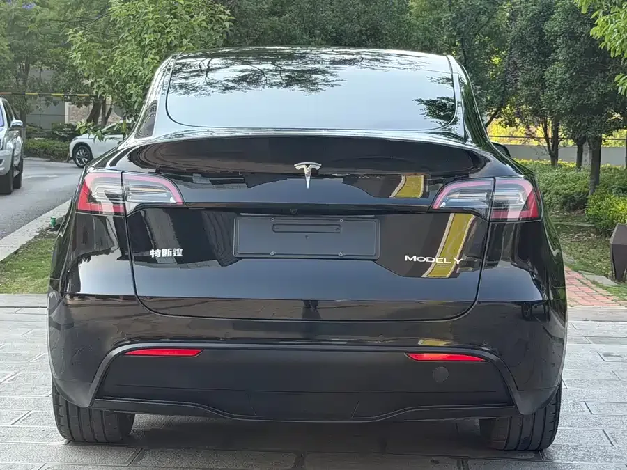 Tesla Model Y Model Y 2023 rear-wheel drive version 2023 — миниатюра 3