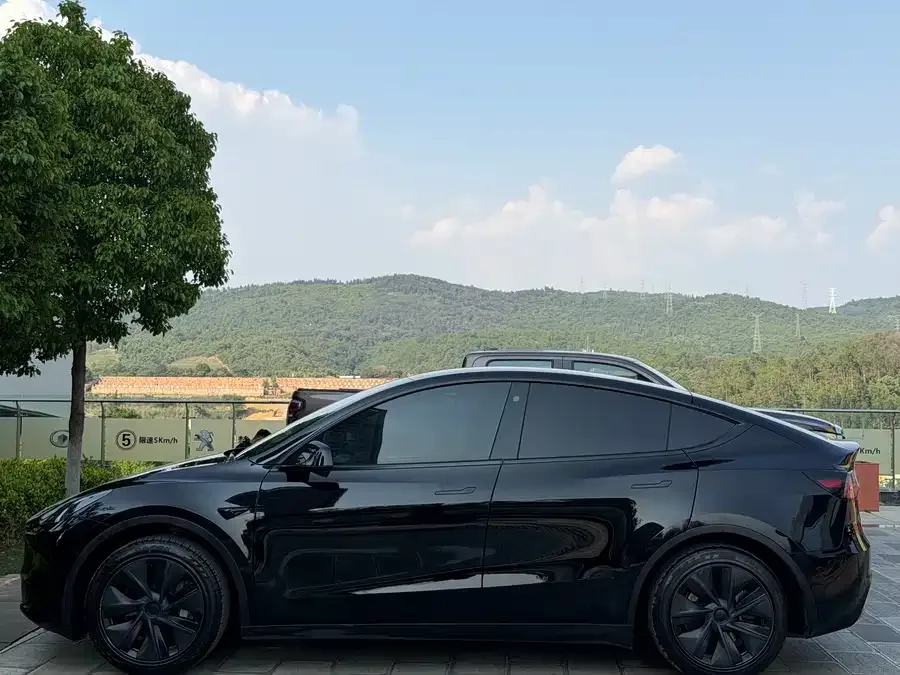 Tesla Model Y Model Y 2023 rear-wheel drive version 2023 — миниатюра 4