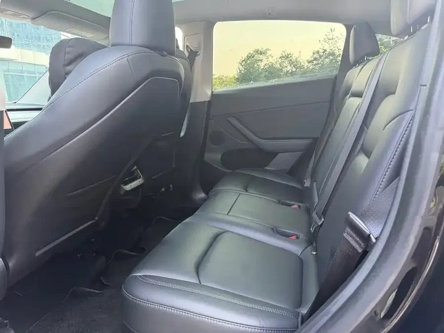 Tesla Model Y Model Y 2023 rear-wheel drive version 2023 — миниатюра 5