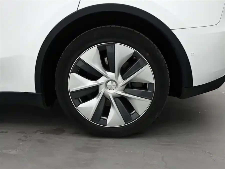 Tesla Model Y Model Y 2022 rear-wheel drive version 2022 — миниатюра 3