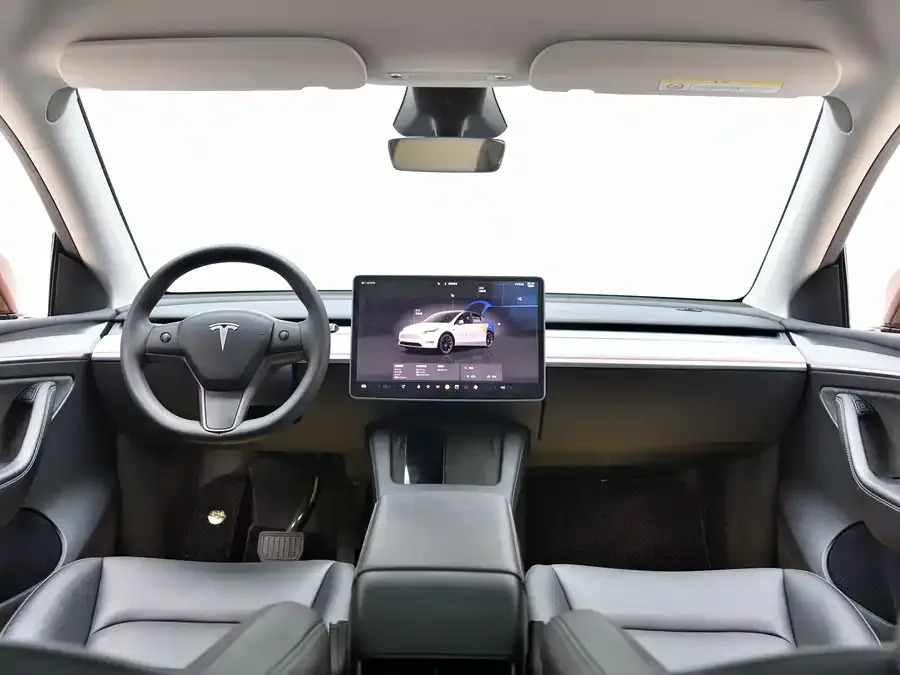 Tesla Model Y Model Y 2024 long-range all-wheel drive version 2024 — миниатюра 2