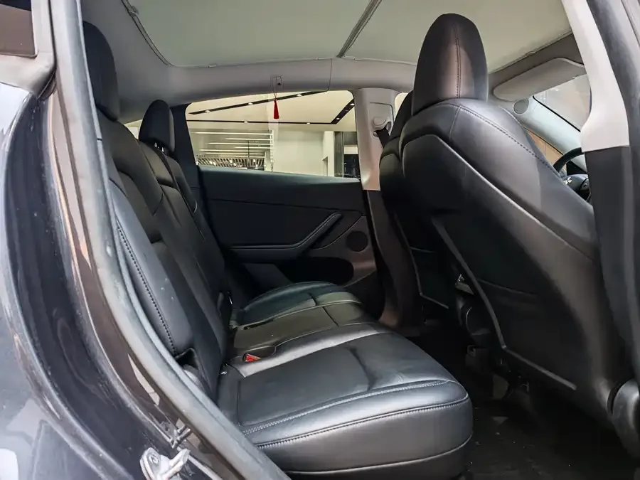 Tesla Model Y Model Y 2024 long-range all-wheel drive version 2024 — миниатюра 4
