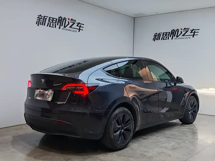 Tesla Model Y Model Y 2024 long-range all-wheel drive version 2024 — миниатюра 5