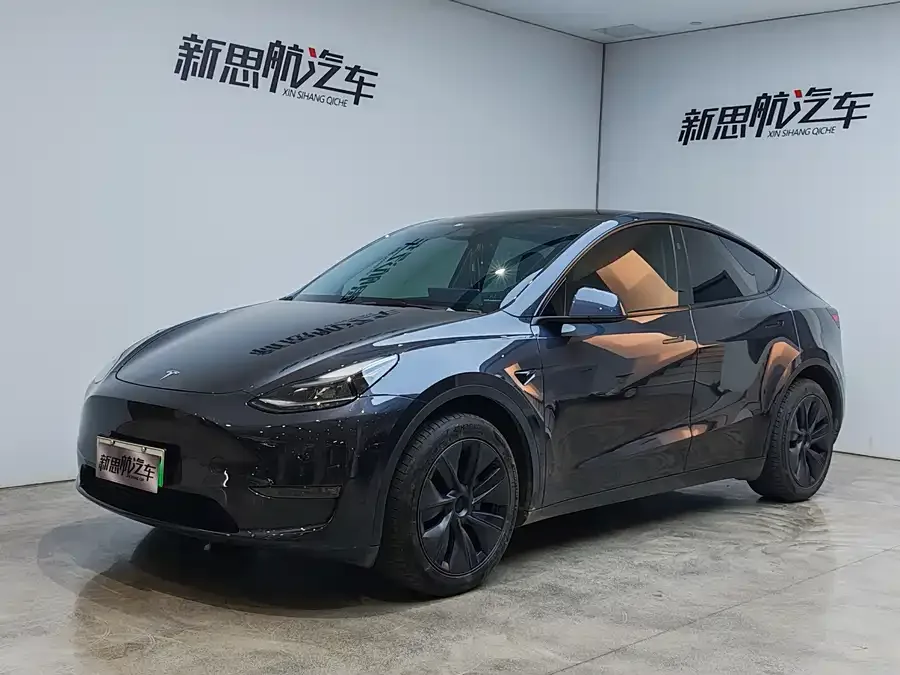 Tesla Model Y Model Y 2024 long-range all-wheel drive version 2024 — фото 1, купить с доставкой в Москву