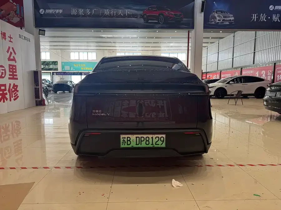 Tesla Model Y Model Y 2025 rear-wheel drive first edition 2025 — миниатюра 2