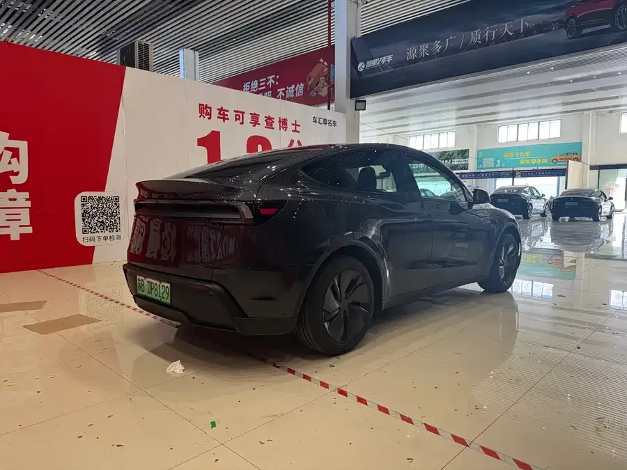 Tesla Model Y Model Y 2025 rear-wheel drive first edition 2025 — миниатюра 4