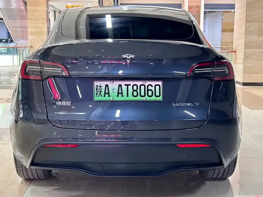 Tesla Model Y Model Y 2024 long-range all-wheel drive version 2024 — миниатюра 2