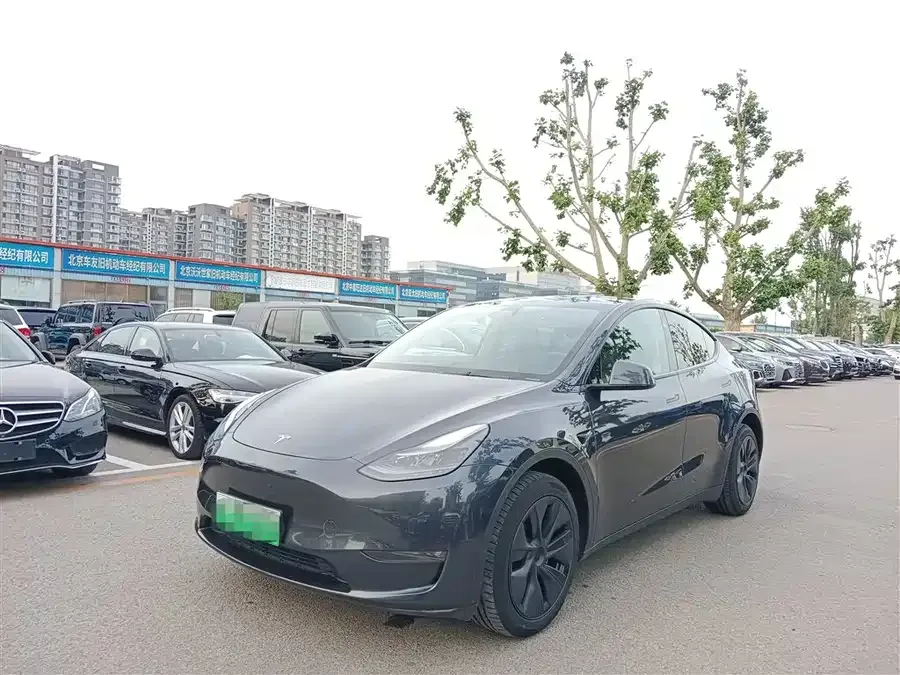 Tesla Model Y Model Y 2024 long-range all-wheel drive version 2024 — фото 1, купить с доставкой в Москву