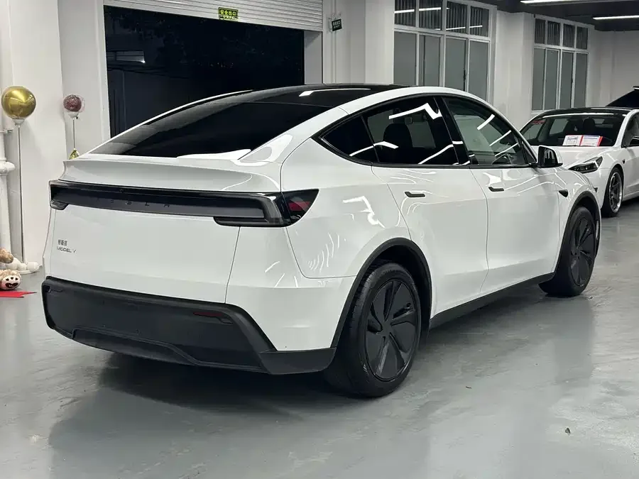Tesla Model Y Model Y 2025 rear-wheel drive version 2025 — миниатюра 3