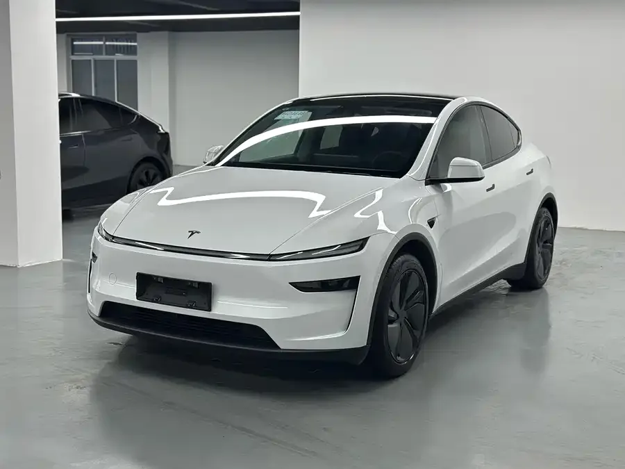 Tesla Model Y Model Y 2025 rear-wheel drive version 2025 — фото 1, купить с доставкой в Москву